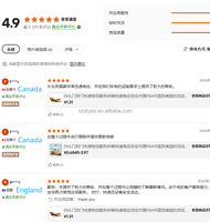 Agente de Transporte de Carga en China, Agente de Transporte Marítimo DDP FCL LCL, Servicio de Logística y Envío desde China a Ciudades Globales