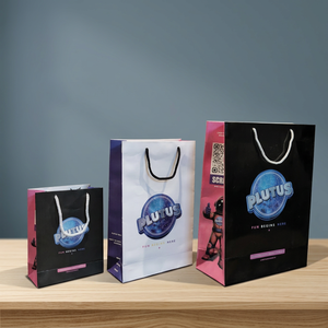 Plutus Custom Printed <b>Paper</b> Gift <b>Bags</b> Cotton Rope Handles Art Glossy Lamination Rectangle Self Adhesive Seal Standard Flat - Product Image 5