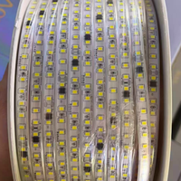 Bande lumineuse LED extérieure 100 mètres, AC 220V, 2835, 120 LED/m, 10 mm, 10 cm/coupe, IP67, étanche, 3000k, 4000k, 6500k, blanche