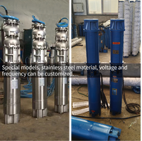 Pompe submersible pour puits profond à usage commercial, en acier inoxydable, personnalisable, haute pression, 300 mètres, multi-étages, grand débit
