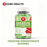 Gummies de Créatine Monohydrate en Gros, 60 Unités, Saveur Pastèque, Haute Absorption, Croissance Musculaire, Force et Performance, Gym, ODM/OEM