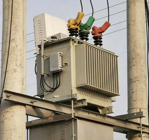 Transformateurs immergés dans l'huile S13 triphasés 50/60 Hz <span class=keywords><strong>6</strong></span>,<span class=keywords><strong>6</strong></span> kV 10 kV 11 kV vers 400 V 315 <span class=keywords><strong>kVA</strong></span> 500 <span class=keywords><strong>kVA</strong></span> 1600 <span class=keywords><strong>kVA</strong></span> - Product Image 6
