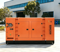 Generador Diésel Silencioso de Alta Eficiencia de 250kW 300kva con Motor Turboalimentado para Industria Pesada