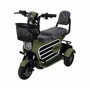 Tricycle électrique 48v 250w à deux places, moteur avant, tricycle multifonction, moto 48v, vélo électrique <span class=keywords><strong>pliable</strong></span> à 3 roues - Product Image 2