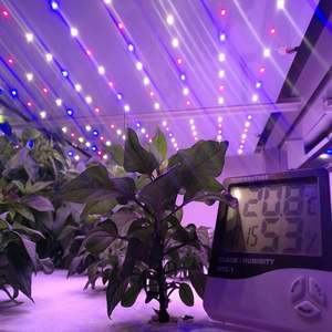 Machine hydroponique de fourrage de conteneur avec la productivité élevée de moteur - Product Image 3