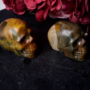Crânes Fossiles en Bois Petrifié Naturel Poli en Gros, Crânes Sculptés en Cristal Style Bohème, Décoration Maison Noël Halloween - Product Image 1