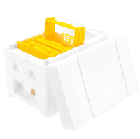 Nouvelle boîte d'accouplement portable SP Mini Queen - Ruche d'accouplement pour abeilles avec cadre d'alimentation - Outil professionnel d'apiculture