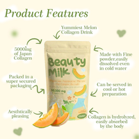 Poudre de Collagène Hydrolysé Premium TikTok Hot Stock pour Adultes, Éclaircissant pour la Peau, Saveur Fraise-Melon, Boisson Beauté en Poudre, Complément Alimentaire
