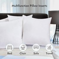 Coussin d'appoint carré de 16 x 16 pouces, alternative au duvet, avec garnissage en polyester, blanc, lot de 1