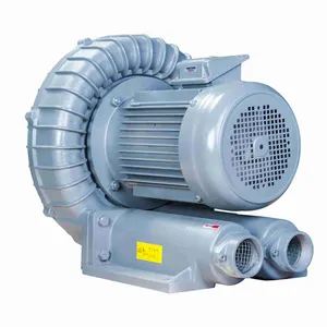 double stage low noise 50-60 db air blower motor 550W---75KW High pressure high quality factory directly