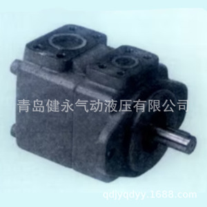 Pompe à palettes hydraulique à déplacement fixe série YUATSUSEIKI PV2R PV2R1 PV2R2 PV2R3, débit fixe, montage frontal vertical - Product Image 1