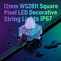 Lumières LED carrées à pixels WS2811 de 12 mm, IP67, guirlandes lumineuses décoratives avec corps en PC, dimmables pour utilisation en jardin