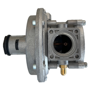 Madas RG/2MCS Neumática Pequeña Fábrica DN25 DN25 Regulador de Gas Natural Válvula Reductora de Presión Sin Filtro - Product Image 5