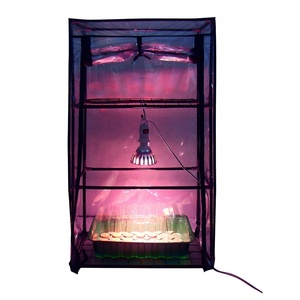 VERTAK-Marco de metal transparente, cubierta de PVC, 3 niveles, <span class=keywords><strong>pequeños</strong></span> <span class=keywords><strong>invernaderos</strong></span> <span class=keywords><strong>para</strong></span> plantas y semillas - Product Image 5