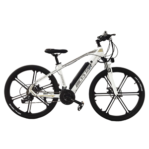 Versatile audi e bike With Varying 