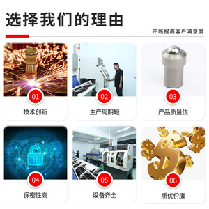 Stainless Steel Ball Head Plunger 304 Grade Round Head Press Fit Spring Type - Product Image 5