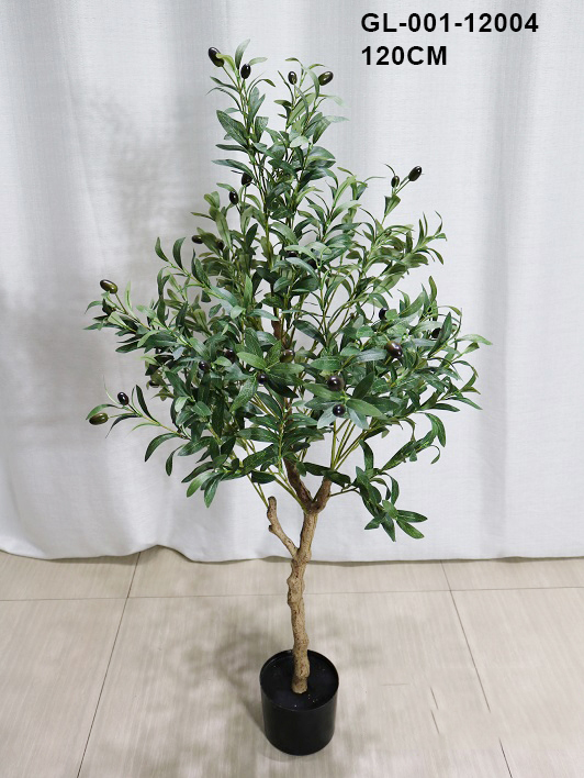 120cm/olive tree