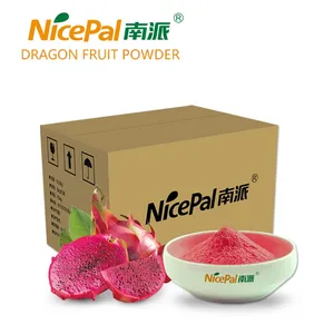 Factory Supply Proper Price Popular Nutritional Spray Dried Red Pitaya Powder Dragon Fruit Powder