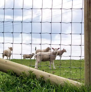 Vente flash : Clôture en grillage métallique pour bétail, personnalisable, technique de tissage pour utilisation à la ferme, services de pliage et de découpe offerts - de Lowes - Product Image 5