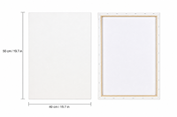 40*50cm Baumwolle Professionelle Künstler-Leinwand Bespannte Blanko-Kunstleinwand
