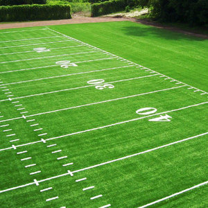 FI-FA được phê duyệt chất lượng tổng hợp cỏ cho bóng đá lĩnh vực - Product Image 6