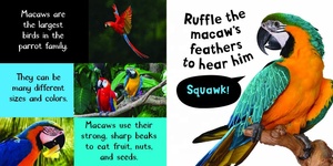 Noisy Animals My First Touch and Feel Sound Book <span class=keywords><strong>livre</strong></span> interactif pour enfants - Product Image 4