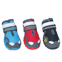 Chaussures pour chien Muker, écologiques, de luxe, à motif de dessin animé, très vendues, respirantes, en maille, antidérapantes, réfléchissantes, pour toutes les saisons