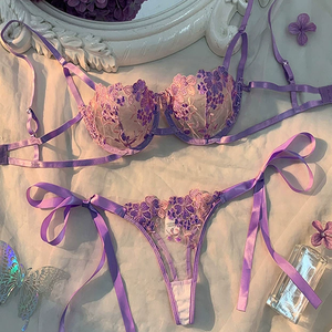 Conjunto de lencería sexy 2026 al por mayor para mujer joven: sujetador push-up transparente bordado con tiras y tanga erótica - Product Image 1