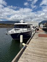 Bateaux de pêche sportive de luxe en aluminium de 9,6 m (30 pieds) avec cabine - Bateau à cabine Cuddy haute vitesse à vendre