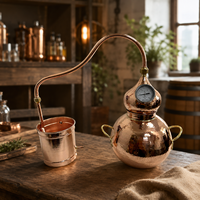 Équipement de distillation d'huiles essentielles en cuivre électrique continu domestique de petite taille Teve 5L, service OEM/ODM accepté