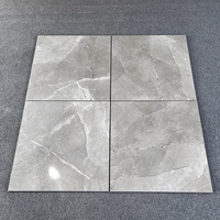 Carreaux de sol en porcelaine grise de salon intérieur de haute qualité 600X600