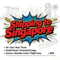 Fret maritime porte-à-porte Singapour, livraison DDP taxes incluses, expédition rapide par voie maritime, prix compétitif, service logistique fiable