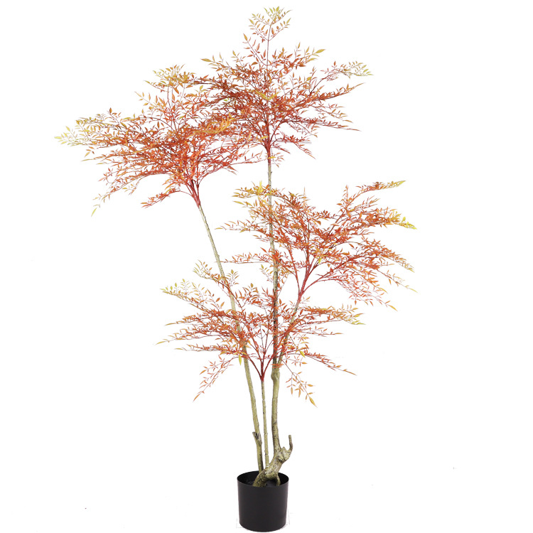 ต้นนันทินา โดเมสติกา [สีเขียว] สูง 1.2 เมตร แตกกิ่ง 2 กิ่ง