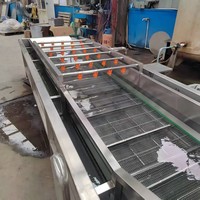 Vis Aardappel Wortel Belletjeswasmachine Hogedruk Luchtdroogapparatuur Wortelgroente