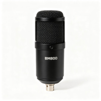 Kit Microphone à Condensateur F009 BM800 avec Carte Son Live, Bras Articulé, Filtre Anti-Pop et Connectivité Sans Fil pour Voix Réglable
