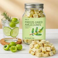 Cubes de Groseille Indienne Lyophilisées/Séchées par Pulvérisation (Phyllanthus Emblica) 1kg Échantillon Brut Riche en Vitamine C Superaliment Naturel