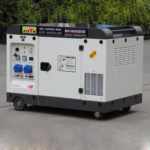 Bison chine 10Kw 10kva 12 Kw 12 Kw deux cylindres refroidi à l'air générateur silencieux ensembles Diesel