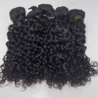 Offre Spéciale : Cheveux Humains Bruts 100% Naturels, Alignés dans le Sens de la Cuticule, Qualité Supérieure, Meilleur Prix – Styles Pixie Curl, Kinky Curl, Burmese Curl, Indian Curl