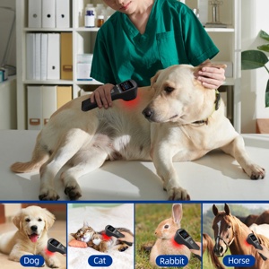 Dispositivo Laser Portatile a Luce Rossa Fredda 880mW 650nm 808nm per Terapia Fisica e Trattamento della <span class=keywords><strong>Borsite</strong></span> della <span class=keywords><strong>Spalla</strong></span> - Product Image 5