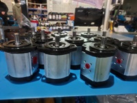 Pompe à huile hydraulique OEM X2p X1p X1p200 X2p555 X1p290 Pompe unidirectionnelle X1p3202fiia X1p3102fiia X1p2902fiia X1p2702fiia Pompe à engrenages