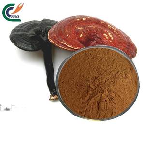 Extrait de champignon Reishi rouge biologique de poudre de mycélium de <span class=keywords><strong>Ganoderma</strong></span> Lucidum Vente en gros d'aliments santé - Product Image 2