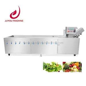 Fresh Fruit Mango Apple Cleaning Machine Air Bubble Vegetable Washing Machine bubble washing machine