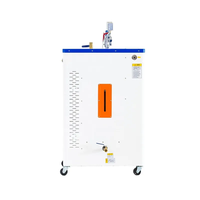 Générateur de bain de vapeur de sauna de hammam électrique automatique de haute qualité 3kw 24kw pour la nourriture médicale hôtel Spa salle de sport usage domestique