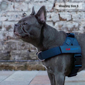 <span class=keywords><strong>Harness</strong></span> anjing ringan, <span class=keywords><strong>Harness</strong></span> anjing ringan mudah dipakai dengan pegangan d-ring tambahan <span class=keywords><strong>Navy</strong></span> <span class=keywords><strong>Blue</strong></span>, harnes anjing untuk jalan-jalan sehari-hari - Product Image 2