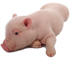 Modelli in Silicone e Fibra di Vetro di Animali a Grandezza Naturale di Qualità Museale, Mini Statue per Decorazione da Scrivania e Parchi Avventura - Product Image 2