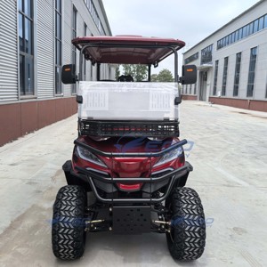 Mini Golf Cart Elettrico di Lusso Altamente Personalizzabile per 4 Persone, Buggy da Golf Fuoristrada Omologato per la Circolazione Stradale - Product Image 6