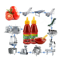 Hnoc Volautomatische Tin Tomatenpuree Fabricage Machine Tomatenpuree Maken Machine Ketchup Maker Procesfabriek