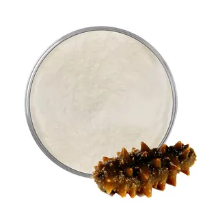 Selected sea cucumber 30% content sea cucumber peptide powder marine life extract stock available wholesales price