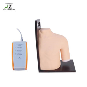 Modèle d'injection électronique PVC pour la cavité de l'épaule, pour la formation en soins infirmiers et la science médicale - Product Image 1