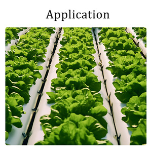 Yida công nghệ sinh học Nông nghiệp sinh học phân bón cellulase Enzyme cho đất cải thiện Hữu Cơ Ủ 12 tháng thời hạn sử dụng khô mát - Product Image 2